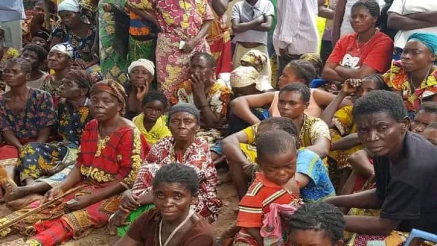 RDC- Angola : Plus de 400 Congolais dont 370 hommes et 42 femmes expulsés via la frontière de kamako