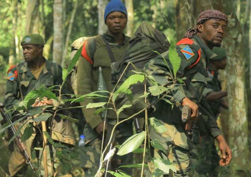 Guerre dans l’Est de la RDC : Les FARDC dénoncent l’attaque des plusieurs de ses positions par le M23 ce samedi