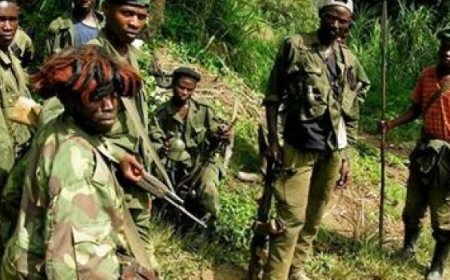 Béni : Découverte macabre de plus de 500 squelettes dans un champ à Ruwenzori