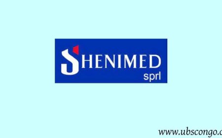 Offre d’emploi : Shenimed Sarl recrute un comptable chargé de douane et entrepôt à Kinshasa