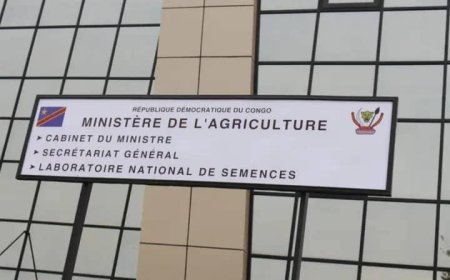 Offre d’emploi : Le Ministère de l’Agriculture recrute un expert en analyse financière de projet agricole avec acquisition de subvention et la possibilité d’adossement à un crédit à Kinshasa