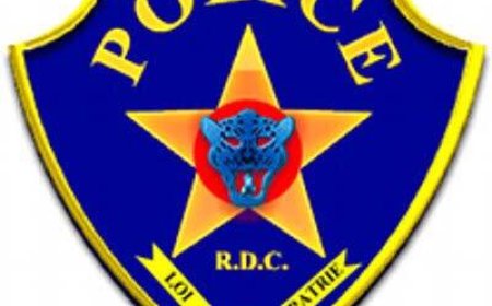 Offre de recrutement au sein de la Police Nationale Congolaise