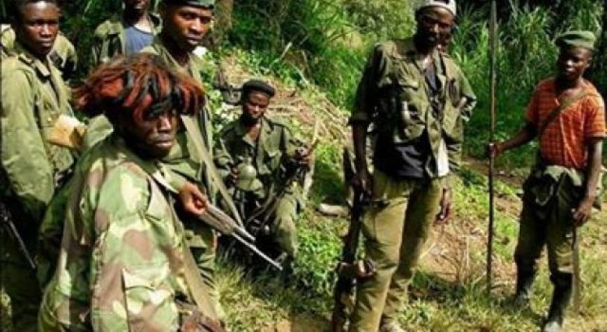 Béni : Découverte macabre de plus de 500 squelettes dans un champ à Ruwenzori