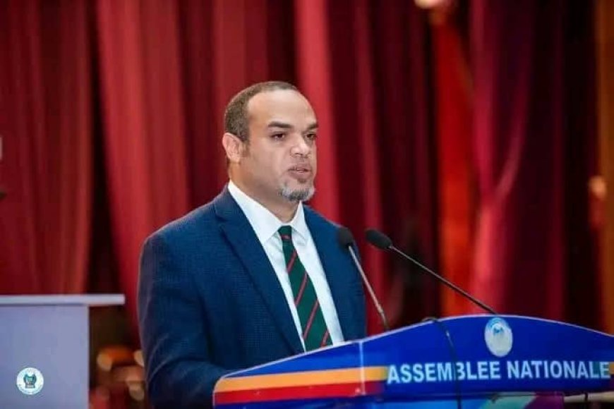 RDC : Suite aux recommandations des élus nationaux, le DG de la SNEL est officiellement suspendu