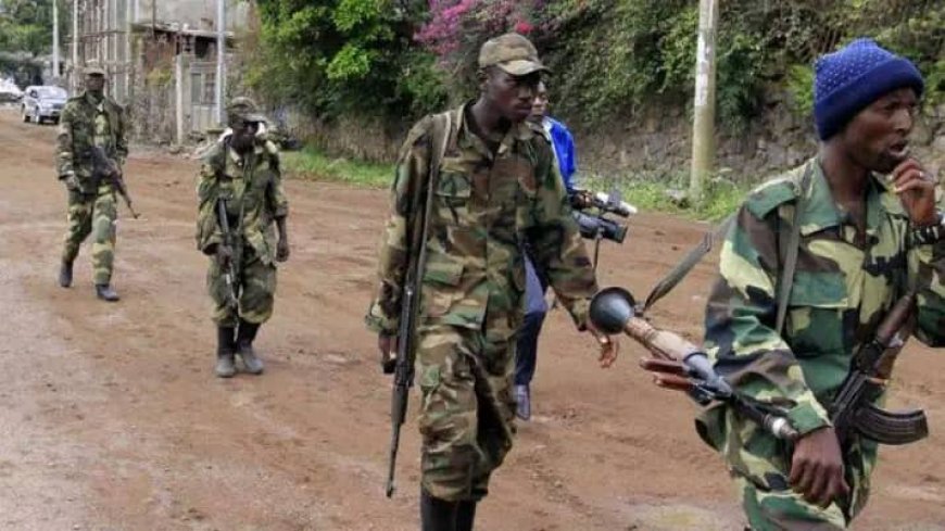 Guerre dans l'Est : Le M23 exige un dialogue direct avec Kinshasa avant son désarmement et cantonnement