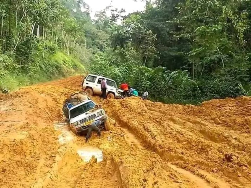 Sud-Kivu : Des tronçons des  routes nationales nº2 et 3 impraticables après débordement de la rivière Gokwe à Kalehe