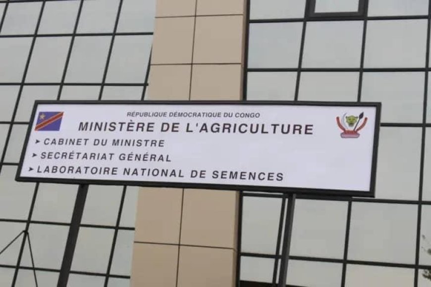 Offre d’emploi : Le Ministère de l’Agriculture recrute un expert en analyse financière de projet agricole avec acquisition de subvention et la possibilité d’adossement à un crédit à Kinshasa