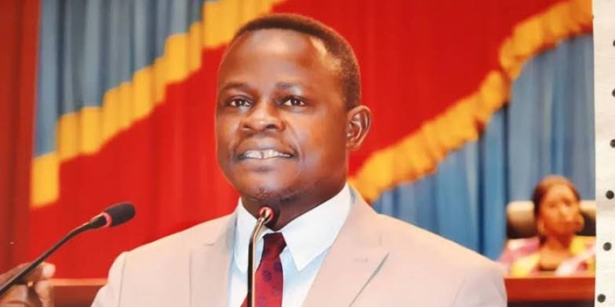RDC : « La réserve de l'armée va ressembler à un service d'appui à l'armée », Garry Sakata 