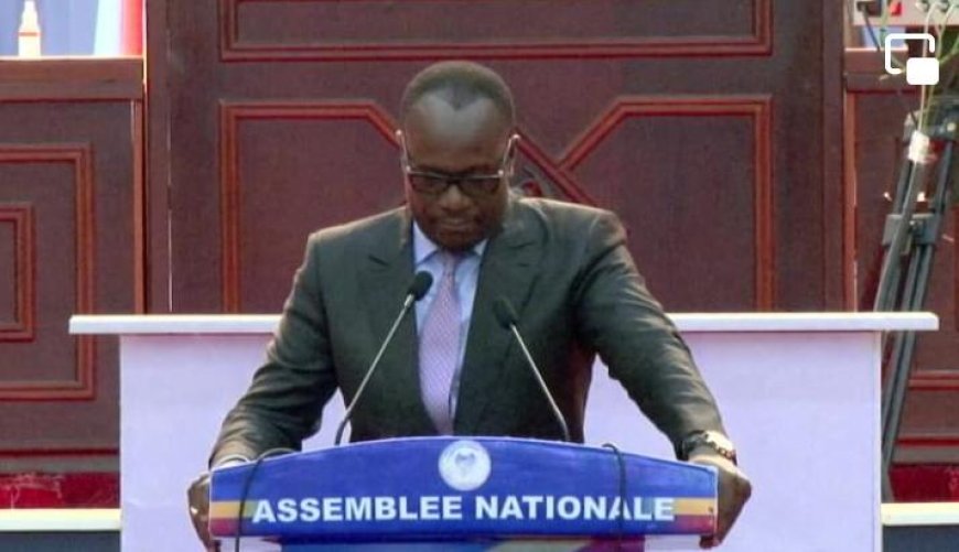 Assemblée nationale : Delly Sesanga considère que la loi instituant la réserve Armée en RDC viole la constitution