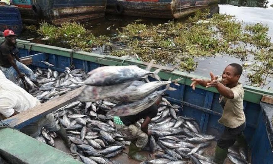 Assemblée Nationale : Une proposition de loi relative à la pêche et aquaculture déposée 