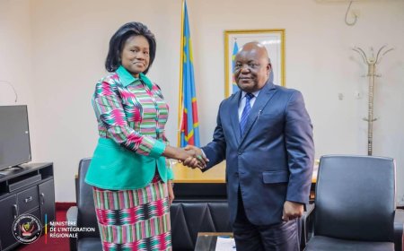 Insécurité dans l’Est de la RDC : L’Union Africaine prête à soutenir le programme de désarmement et démobilisation