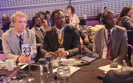 RDC : Tony Mwaba représente la RDC au sommet mondial de l'éducation à Londres