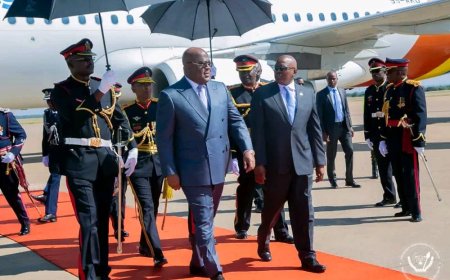Coopération : Félix Tshisekedi au Botswana pour une visite de 48 heures