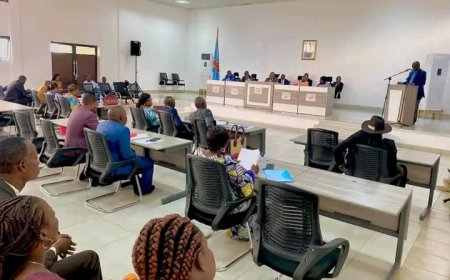 Tanganyika : Peter Kazadi ordonne la suspension des plénières à l'Assemblée provinciale 