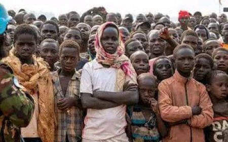 Ituri : Entre décembre 2022 et février 2023, 500 personnes ont été tuées par les rebelles [Monusco]