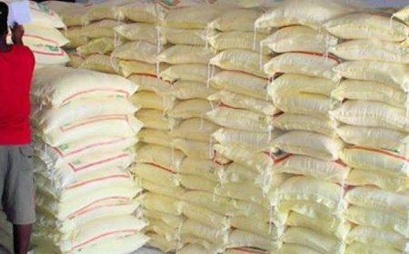Crise de maïs au Katanga : La RDC n’avait jamais passé de commandes officielles en Zambie avant la mission ministérielle (Président zambien)