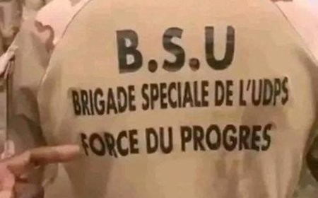 Force du Progrès : Le PPRD note avec « déception » les propos irresponsables de Peter Kazadi 