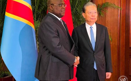 Coopération Sino-Congolaise : Félix Tshisekedi s'entretient avec le président de l'Assemblée nationale chinoise Zhao Leji