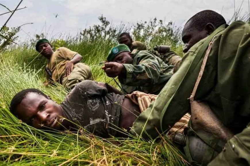 Nord Kivu: Ba ntomboji 7 ADF mbashibeya kudi ba FARDC