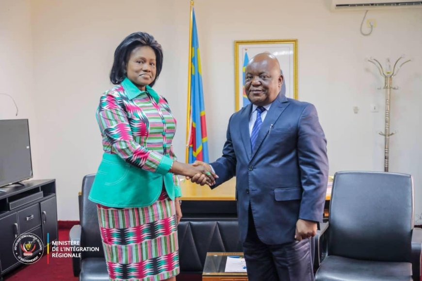 Insécurité dans l’Est de la RDC : L’Union Africaine prête à soutenir le programme de désarmement et démobilisation