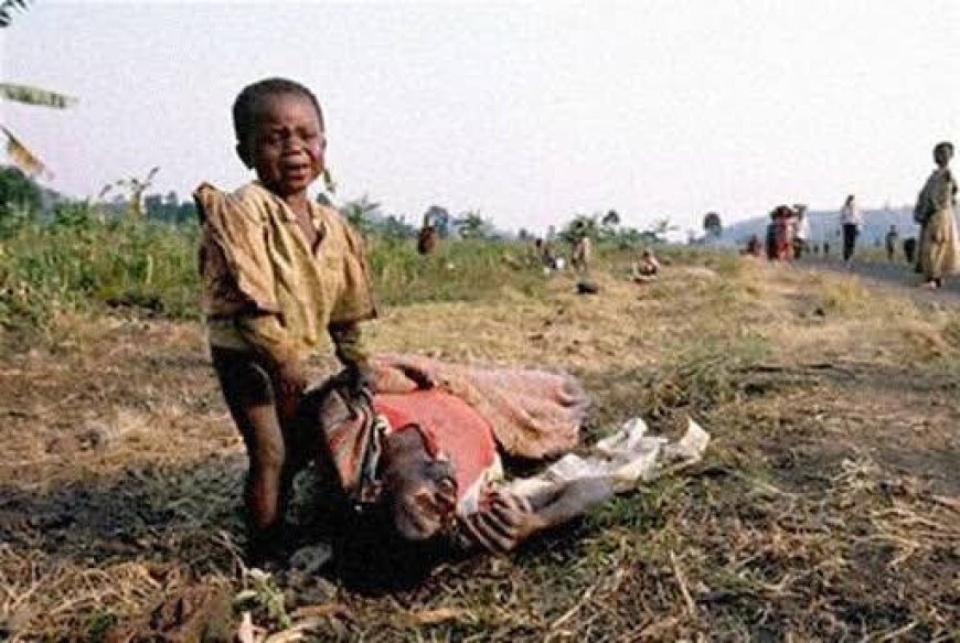 2 ans de l’état de siège en Ituri et au Nord-Kivu : Plus de 5000 civils tués soit le double de 2 ans avant son instauration (Lucha)