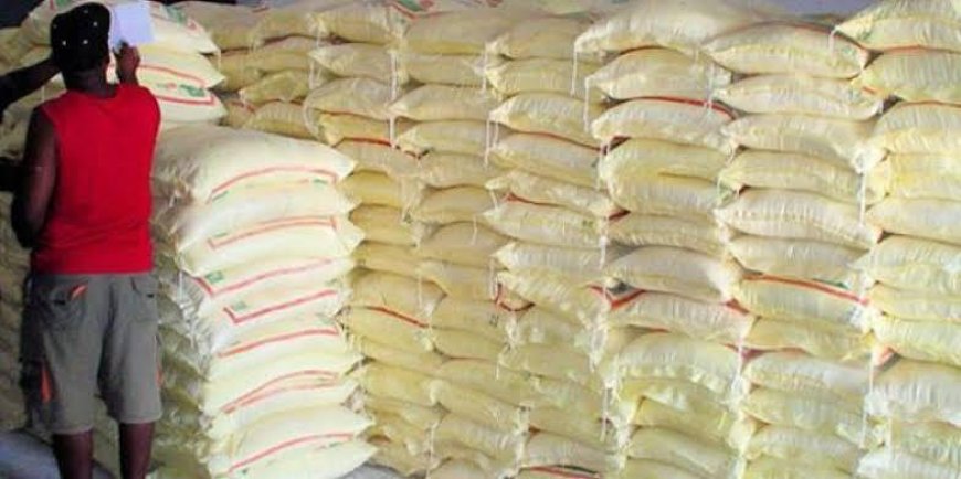 Crise de maïs au Katanga : La RDC n’avait jamais passé de commandes officielles en Zambie avant la mission ministérielle (Président zambien)