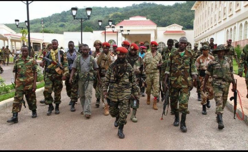 RDC :  Alerte sur l'occupation de plusieurs villages du territoire de Ango au Bas - Uele par les rebelles du « Seleka » venus de centre Afrique