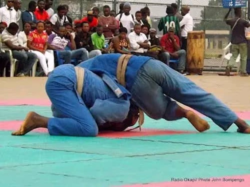 IXèmes jeux de la Francophonie : Le gouvernement invité à s'investir dans les préparatifs de judokas congolais