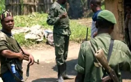 Nord-Kivu : 9 civils tués lors d' une attaque ADF à Museya