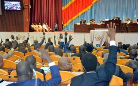 RDC: Lamuka aile Fayulu dit « non» à la loi sur la répartition des sièges adoptée par l'Assemblée nationale