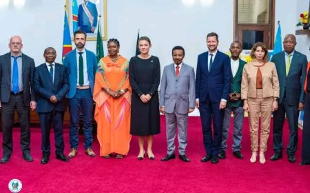 Élections 2023: Christophe Mboso échange avec la délégation de l'Union Européenne sur les préparatifs