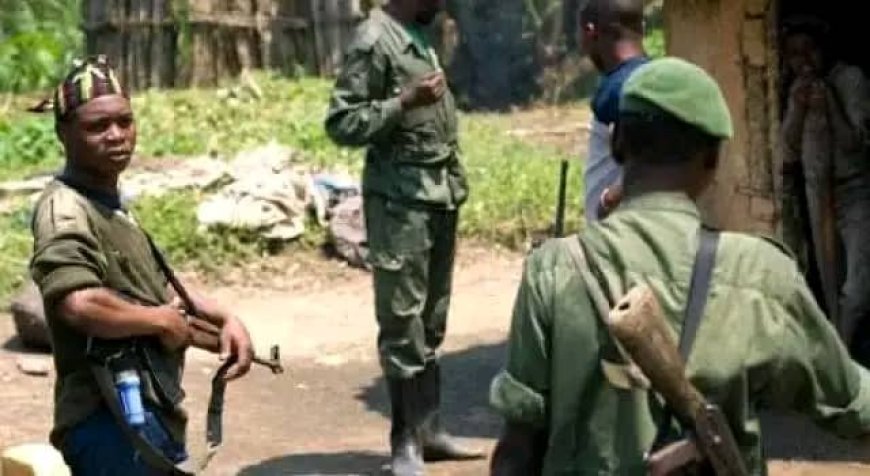 Nord-Kivu : 9 civils tués lors d' une attaque ADF à Museya