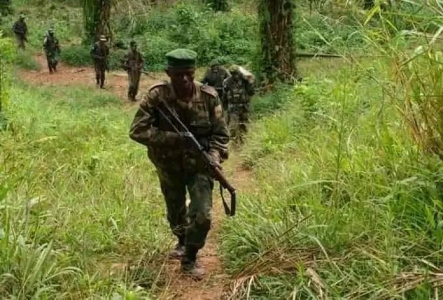 Ituri : 1 mort et une dizaine des personnes disparues dans une attaque des ADF à Lomalisa