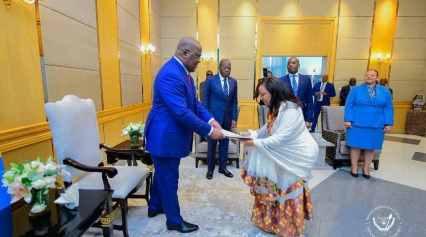 RDC : Félix Tshisekedi reçoit 4 nouveaux ambassadeurs accrédités en RDC