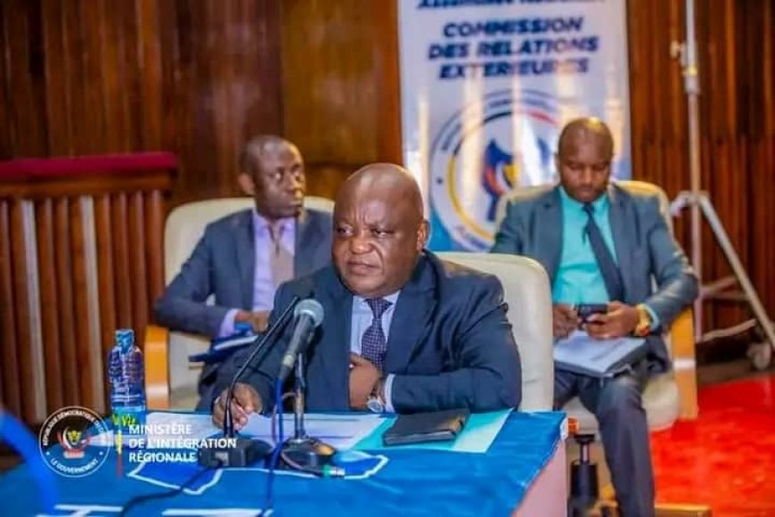 RDC : Mbusa Nyamwisi invite l'Assemblée nationale à doter le système sécuritaire d'un budget conséquent