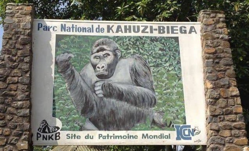 Sud-kivu : alerte sur des mouvements suspects des hommes armés autour du parc Kahuzi Biega