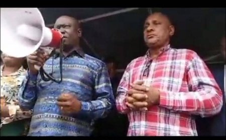 Kinshasa : En froid avec Ngobila, Gecoco Mulumba rassuré du soutien de l'UDPS