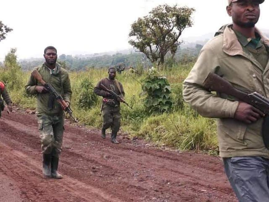 Guerre dans l'Est : Les combattants d'autodéfense contrôlent certains villages à Masisi après avoir affronté les M23 