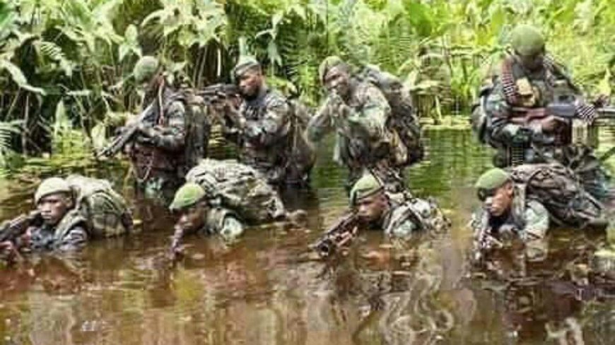 Nord-Kivu : la coalition armée Congolaise et Ougandaise tuent 2 commandants des ADF à Ruwenzori
