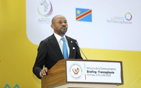 RDC : Le gouvernement promet des poursuites judiciaires contre les agresseurs de Delly Sesanga