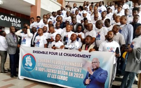 RDC : Les députés progressistes de l'Ensemble membres l’Union sacrée indignés après leur « non alignement » dans les nominations de Tshisekedi 