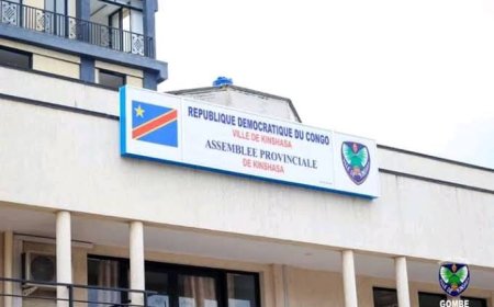 Kinshasa : l'Assemblée provinciale boycotte la réhabilitation de Godé Mpoyi par la Cour d'Appel
