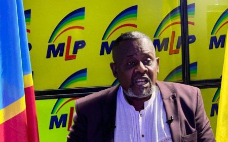 RDC : « S’il m’arrivait quelque chose de dramatique sur les plans sanitaire et sécuritaire, c’est Félix Tshilombo qui en sera responsable », Franck Diongo