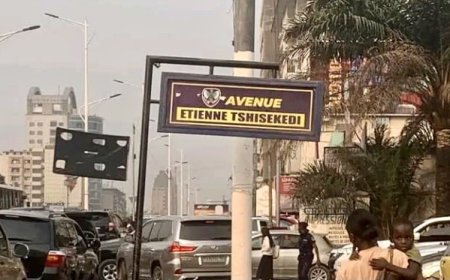 Kinshasa : Ngobila rebaptise l’avenue des huileries « avenue Étienne Tshisekedi »