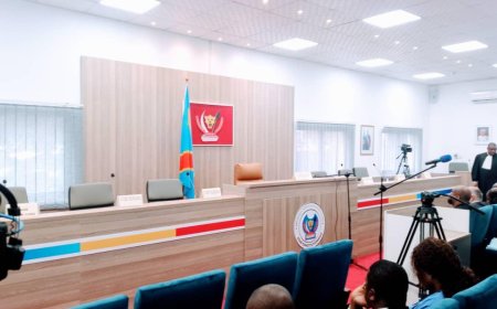 Procès Bukanga Lonzo : Affaire renvoyée au 4 septembre suite aux procédures irrégulières pour Matata Ponyo et Christo Grobler