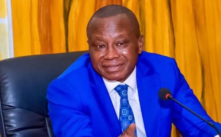 Meurtre de C. Okende : Les services des Renseignements militaires et un membre du Cabinet du Chef de l’Etat impliqués 