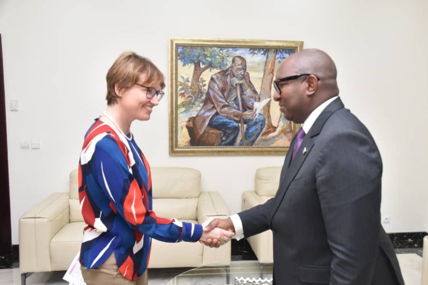 Processus électoral : La Grande-Bretagne s'engage à soutenir la RDC
