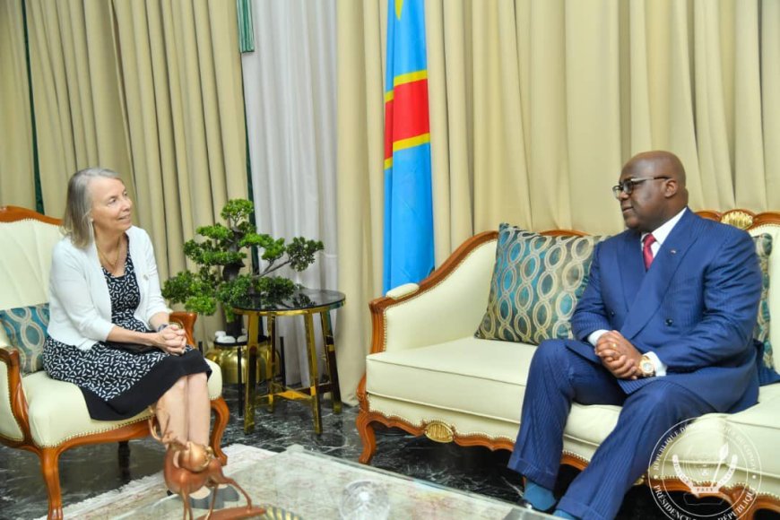 RDC : Tshisekedi échange avec l'ambassadeur des USA sur la lutte contre le réchauffement climatique