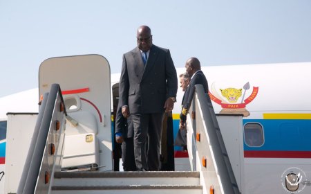 Zimbabwe : Le chef d'État congolais Félix Tshisekedi présent à la prestation de serment de son homologue Emmerson Mnangagwa