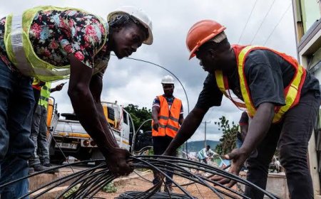 RDC : Endommagé, le câble de la fibre optique de nouveau opérationnel 